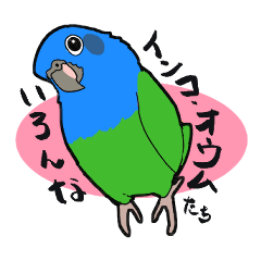 [LINEスタンプ] いろんなインコ・オウムたち