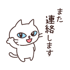 [LINEスタンプ] みんなに使える「しろねこパッチー」敬語編