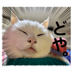 [LINEスタンプ] リトルスタンプ＊第二弾