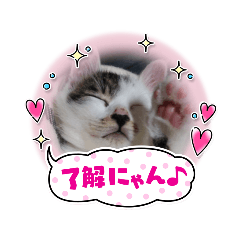 [LINEスタンプ] ミルク使えるスタンプ