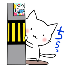 [LINEスタンプ] 白猫にゃろんの可愛い日常スタンプ2