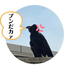 [LINEスタンプ] 都会のカラス