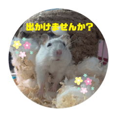[LINEスタンプ] ハムスターふくまる