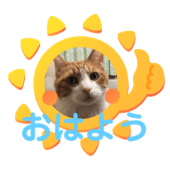 [LINEスタンプ] ゆずの日常風景2