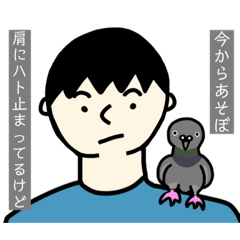 [LINEスタンプ] 肩にハト止まってる人専用スタンプ