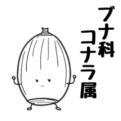 [LINEスタンプ] ドングリのしらかっしーさん【挨拶】