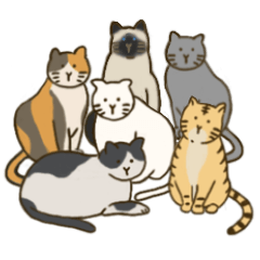 [LINEスタンプ] ねこ好きのためのねこネコ猫スタンプ