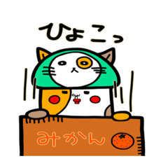 [LINEスタンプ] ⭐️番外編⭐️ネコきのこさん