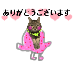 [LINEスタンプ] こたまさんの日常2