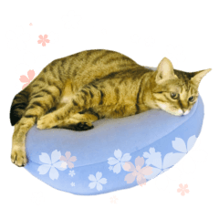 [LINEスタンプ] MILK kagisippocat 3