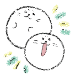 [LINEスタンプ] まるめのあざらし