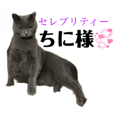 [LINEスタンプ] ちに様の日常スタンプ