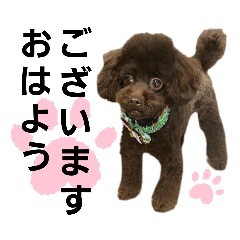 [LINEスタンプ] ゆたんぽのスタンプの巻