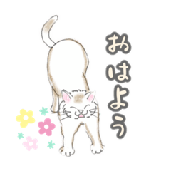 [LINEスタンプ] ねこちゃん❤️挨拶スタンプ