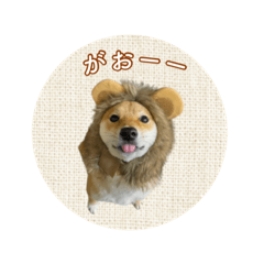 [LINEスタンプ] 舌ぺろむぎ茶 Ⅴ