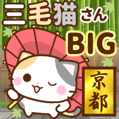[LINEスタンプ] 京都の三毛猫さん 【BIGスタンプ】