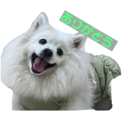 [LINEスタンプ] まる【2】