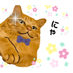 [LINEスタンプ] 笑うにゃん