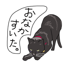 [LINEスタンプ] 猫と家族の連絡スタンプ