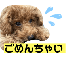 [LINEスタンプ] おいぬとにんげん