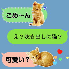 [LINEスタンプ] 吹き出しに猫【メッセージスタンプ】