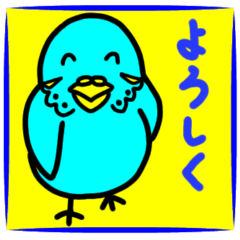 [LINEスタンプ] 元気なインコのピロリン一家（あいさつ編）