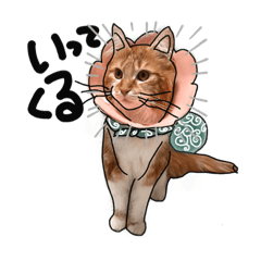 [LINEスタンプ] 猫のシャロとロタ1