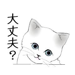 [LINEスタンプ] Stickers_cats_a 猫のスタンプ