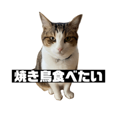 [LINEスタンプ] 〇〇 食べたい