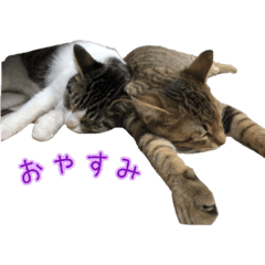 [LINEスタンプ] 次元と五右衛門