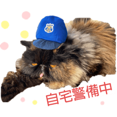[LINEスタンプ] ★ここあとクロエ②
