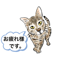 [LINEスタンプ] あしたもしっぽ1