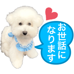 [LINEスタンプ] ビジョンフリーゼ敬語