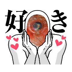[LINEスタンプ] エソの目を使ったスタンプです