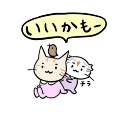 [LINEスタンプ] えりにゃんこ1