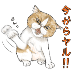 [LINEスタンプ] 猫にまみれたがりのスタンプ