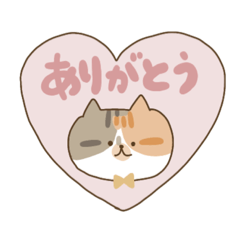 [LINEスタンプ] ねこってイイヨネ