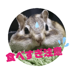 [LINEスタンプ] みんなと一緒 17