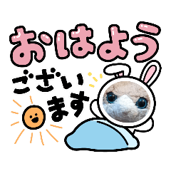 [LINEスタンプ] みんな集合‼️第3段！(2回目！)