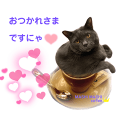 [LINEスタンプ] 猫スタッフスタンプ よく使う挨拶編 part1