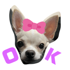 [LINEスタンプ] みにースタンプ①