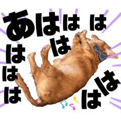 [LINEスタンプ] らぶぞぅ10