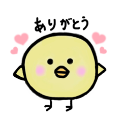 [LINEスタンプ] まめひよこ