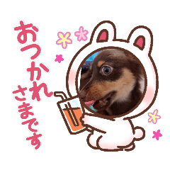 [LINEスタンプ] アンころもち