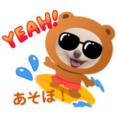 [LINEスタンプ] ポメラニアン〜ポメポメすたんぷ