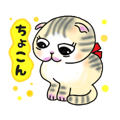 [LINEスタンプ] おやすみ☆ねこさん アラカルト