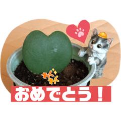 [LINEスタンプ] 猫ちゃんとラブハートのメッセージです。