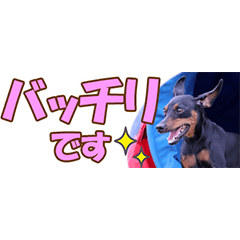 [LINEスタンプ] ミニピン 省スペース スタンプ4