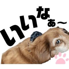 [LINEスタンプ] らぶぞぅ12