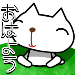 [LINEスタンプ] たれ目な子ネコのプチ白ちゃん